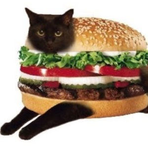 Meet your Posher, Sog